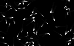 HTML5 Canvas小虫子游动特效